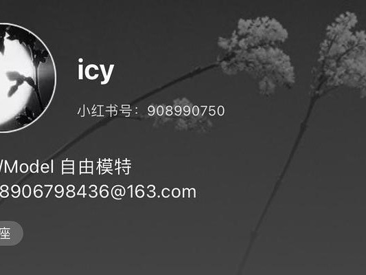 寻宝之路（揭秘宝藏博主的技能加点方法，让你成为博客世界的探宝高手！）