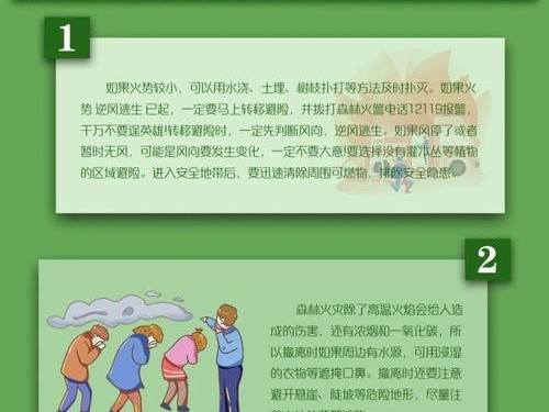 《在森林里逃生游戏攻略大揭秘》（探索未知丛林，化险为夷的关键诀窍）