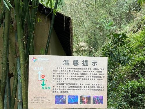 《探寻酉阳桃花源游戏攻略的秘密》（解锁桃花源奇妙冒险，畅享游戏乐趣）