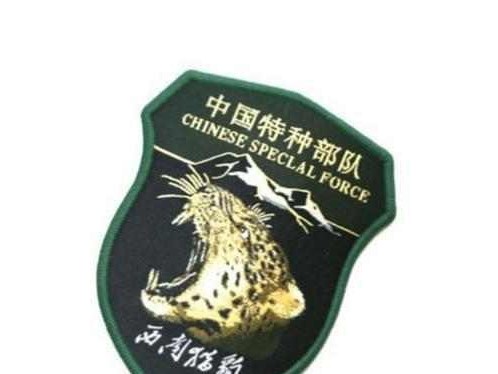 揭秘最高警戒部队技能攻略（突袭、侦查、反恐...最高警戒部队技能全解析）
