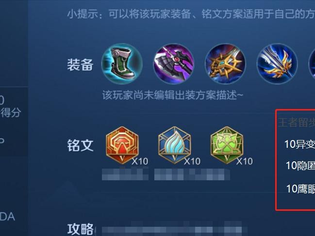 达摩专业出装攻略（必备道具和合理选择，让你的达摩成为战场霸主）