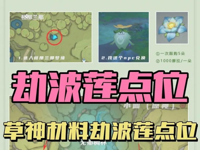 《原神草神煽情剧情攻略》（探索原神世界中草神的动人故事，解锁独特剧情体验）