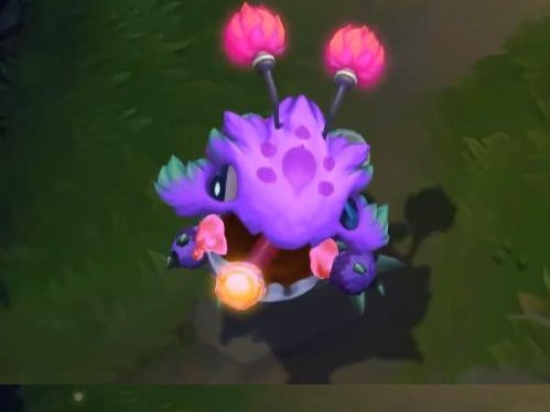 如何成为攻略技能高手——从蜜蜂的角度出发（探索蜜蜂如何获取攻略技能的奥秘，揭开它们独特的学习方式）