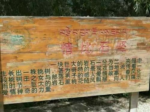 《重回前世的副本攻略》（探索前世记忆、揭示宿命之谜，尽握副本攻略的关键）