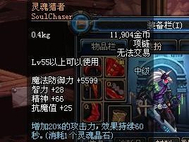 灵魂猎人技能搭配攻略（打造强力角色的绝佳选择）