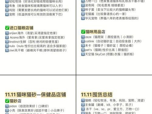 老表最强出装铭文攻略大全（无敌老表，装备铭文一网打尽！）