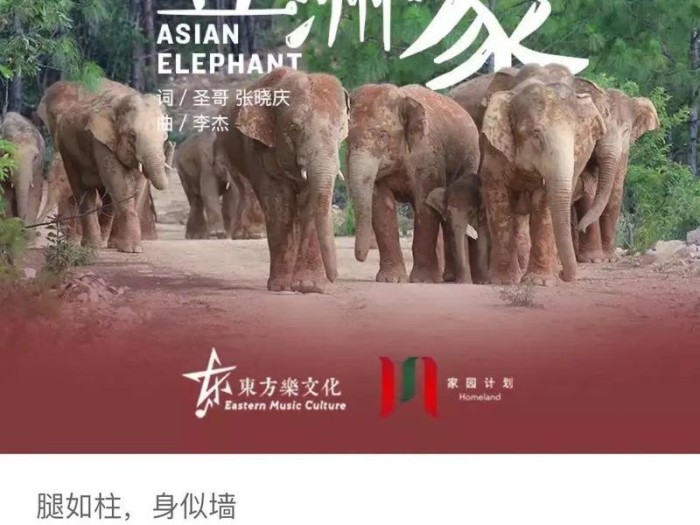 大象逃离游戏攻略（突破重围，智慧大象如何巧妙逃脱？）