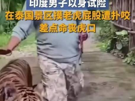 不许摸我屁股游戏攻略（游戏攻略、关卡解析、玩法技巧、人际交往）